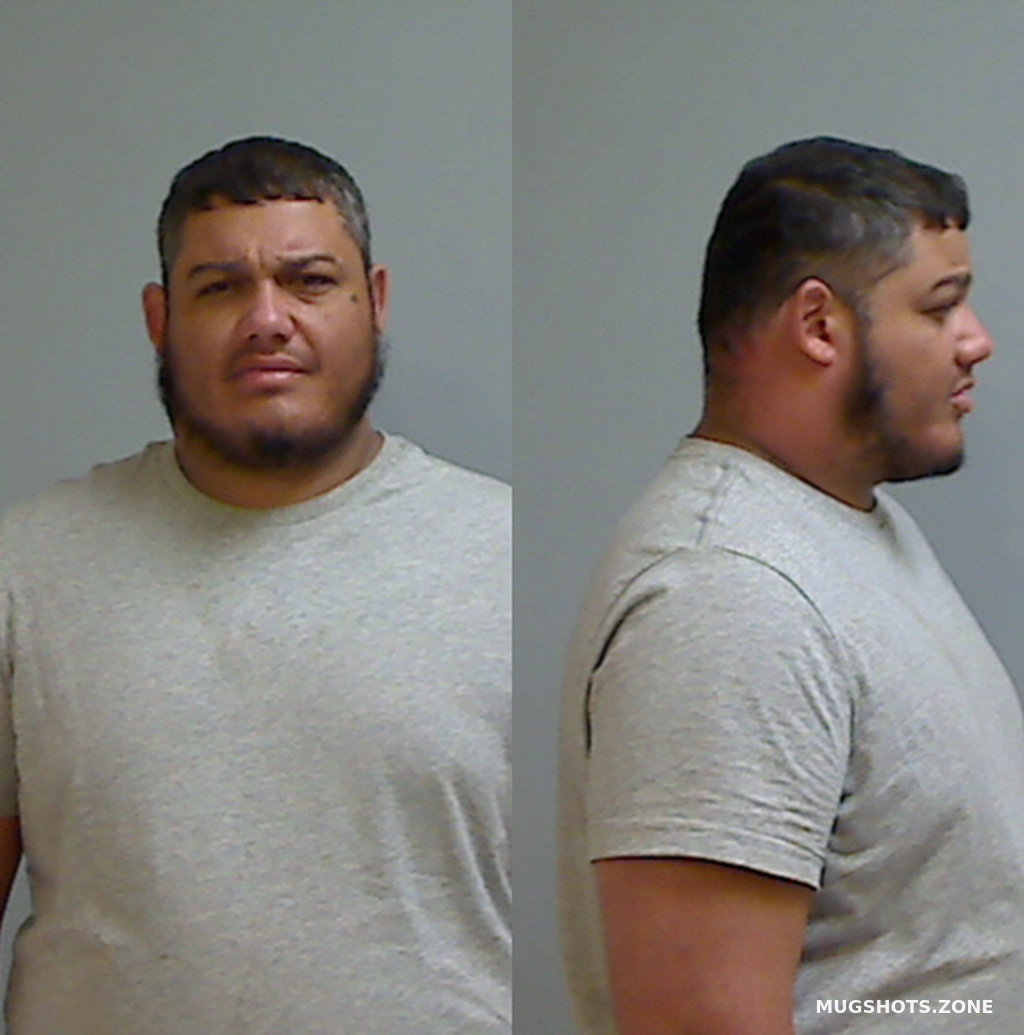 LUGO JESUS DANIEL 11/14/2024 Hidalgo County Mugshots Zone