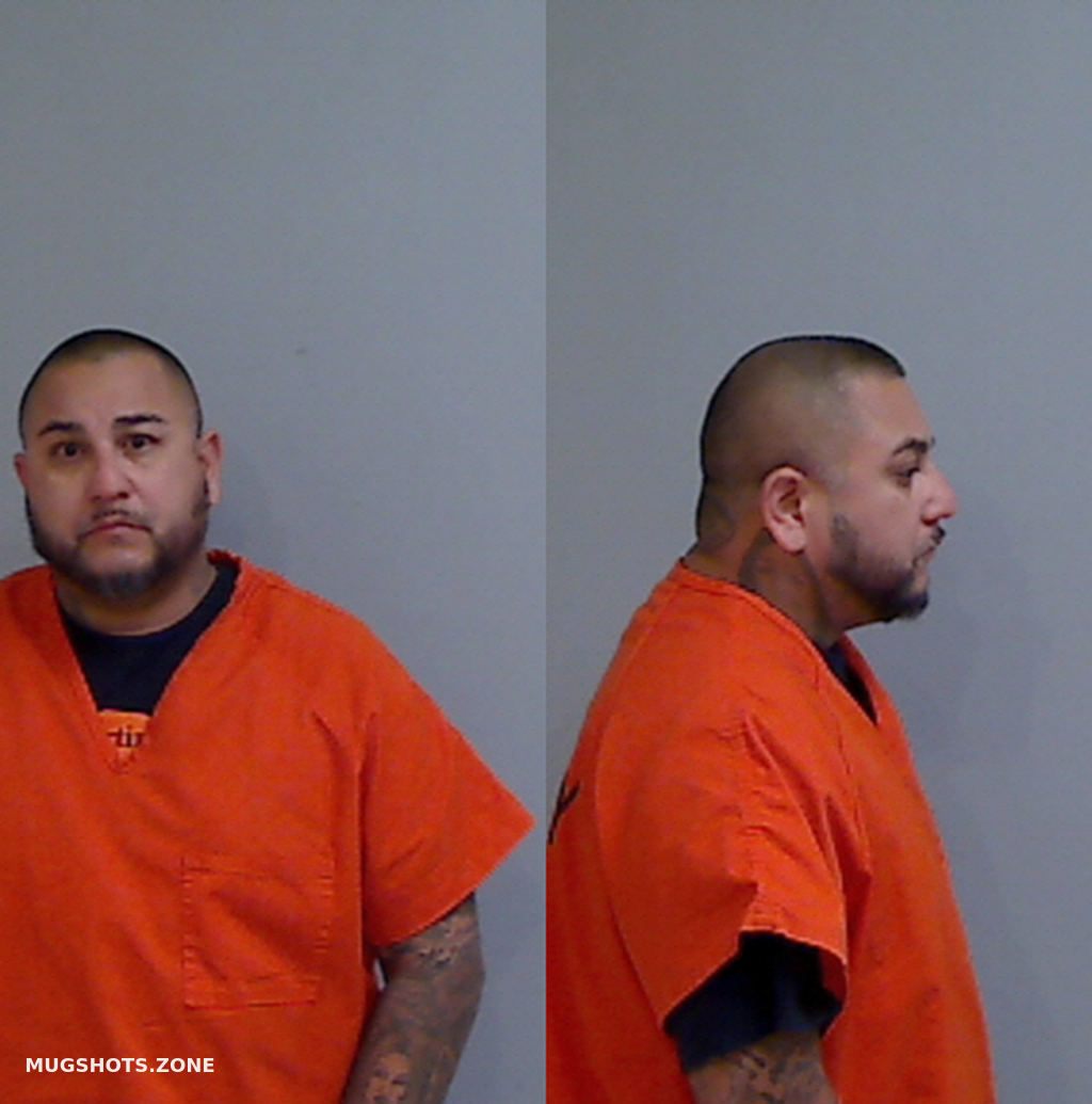 FELAN EDWARD NICHOLAS 11/20/2024 Hidalgo County Mugshots Zone