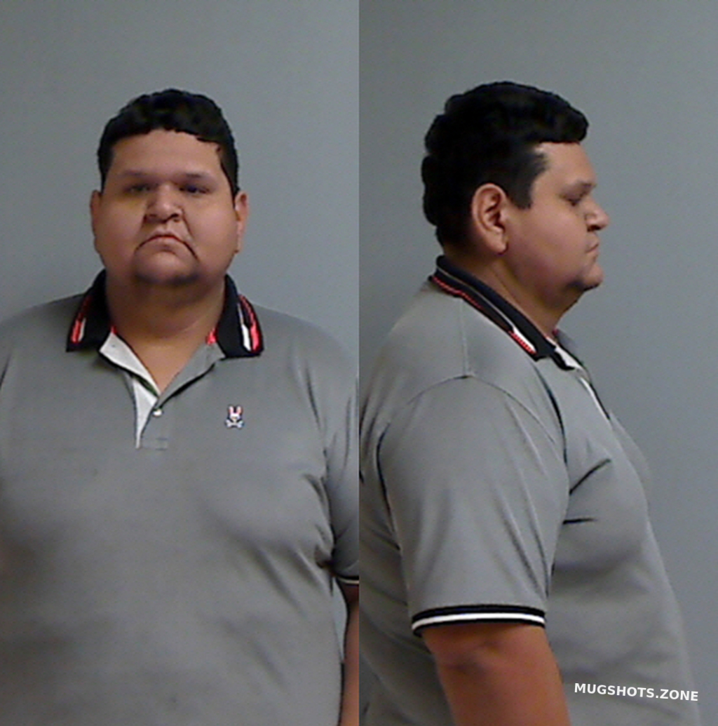 HINOJOSA RICARDO 11/20/2024 Hidalgo County Mugshots Zone