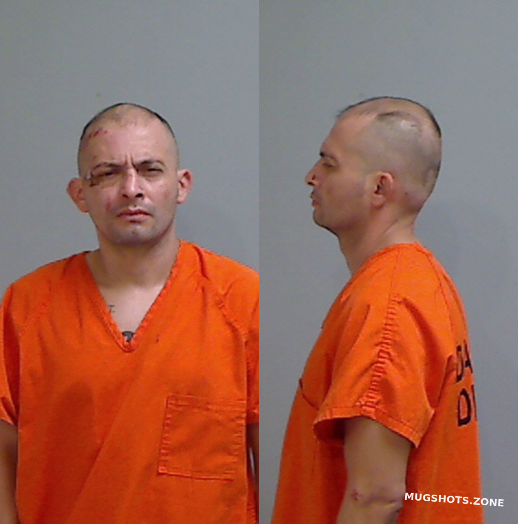 MELO DOMINGO JR. 11/23/2024 Hidalgo County Mugshots Zone