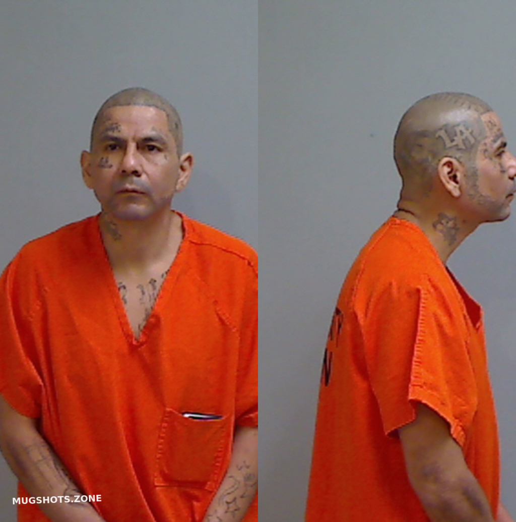 CORPUS LUIS ALBERTO 01/07/2025 Hidalgo County Mugshots Zone