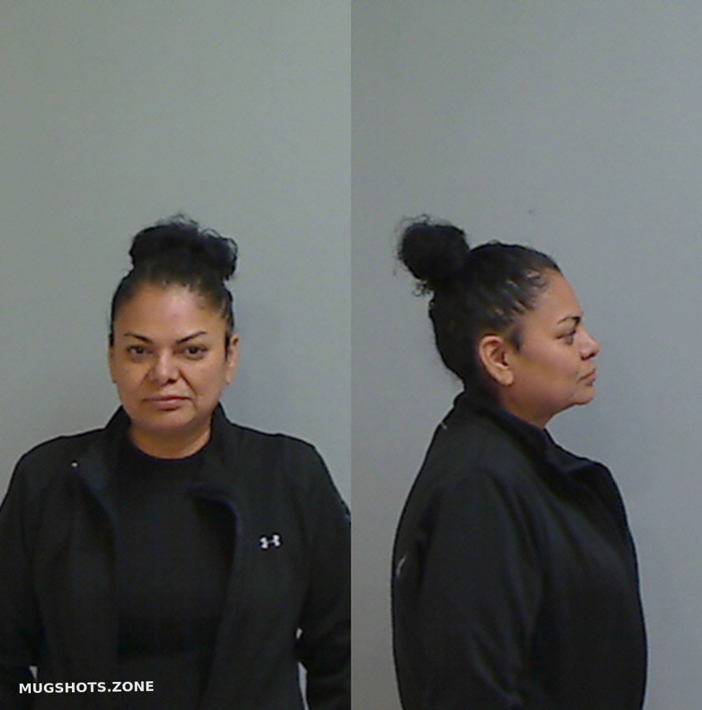 CHAVEZ DELIA 01/27/2025 Hidalgo County Mugshots Zone