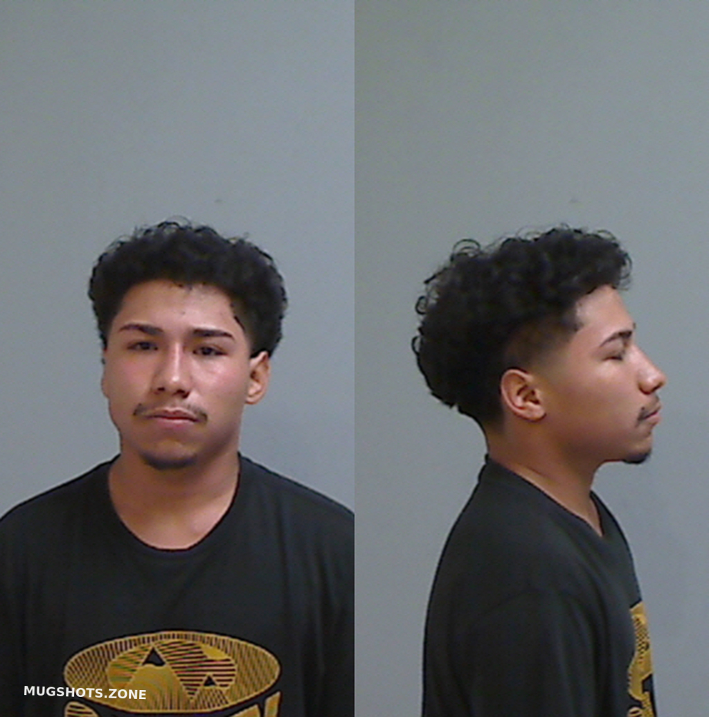 MATA JULIAN 01/30/2025 Hidalgo County Mugshots Zone