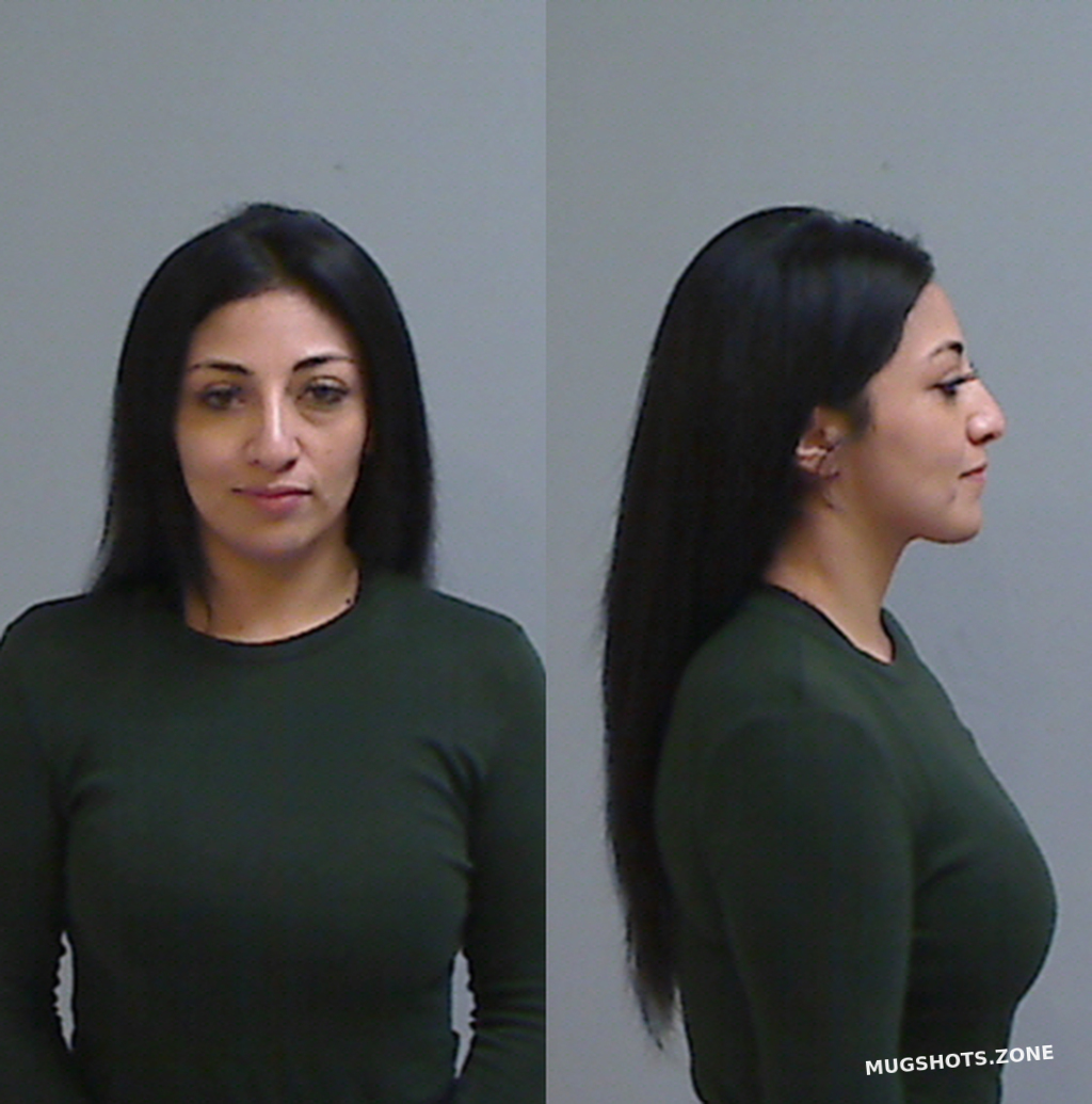 TORRES ISABEL 01/31/2025 Hidalgo County Mugshots Zone