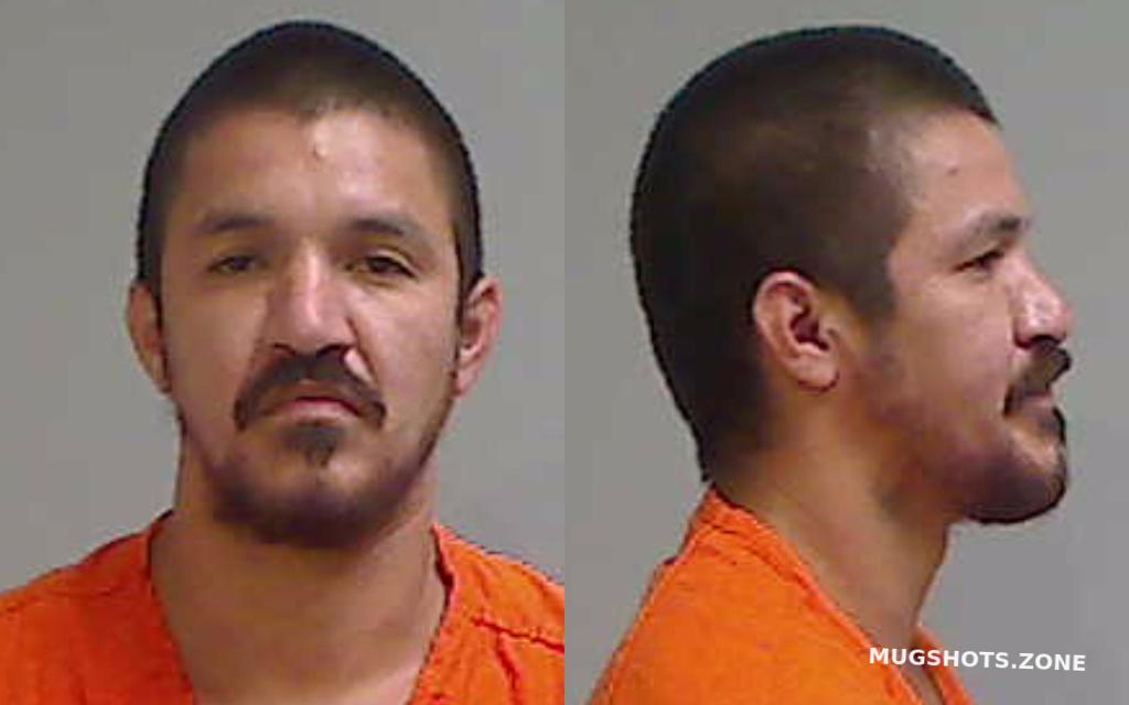 ALVAREZ JUAN GABRIEL 08/18/2025 Hidalgo County Mugshots Zone