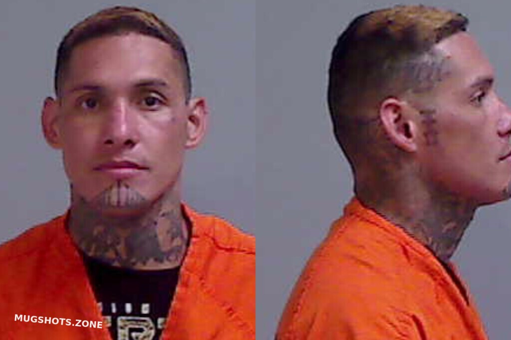 FUENTES RICARDO 09/11/2025 Hidalgo County Mugshots Zone