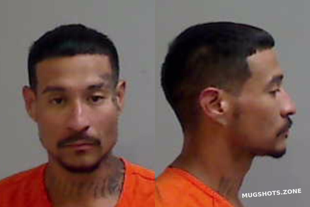 TOVAR GASSDY GAEL 09/14/2025 Hidalgo County Mugshots Zone