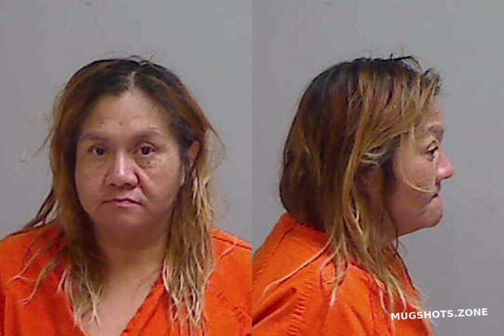 PROVENCIO DIANA 01/07/2026 Hidalgo County Mugshots Zone