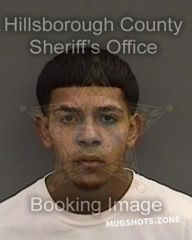 ROLDAN LEON MICHAEL 01/25/2022 - Hillsborough County Mugshots Zone