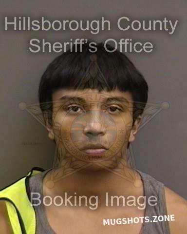 Hernandez Pablo Jr 04 29 2022 - Hillsborough County Mugshots Zone