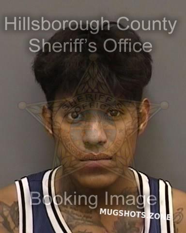 MARTINPEREZ ULISES 05/17/2022 - Hillsborough County Mugshots Zone