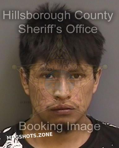 ALONSO MANUEL 05/20/2022 - Hillsborough County Mugshots Zone