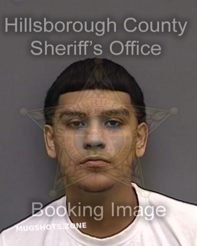 DILAN JOEL 06/02/2022 - Hillsborough County Mugshots Zone