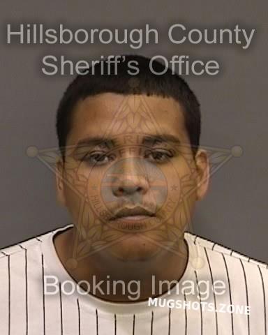 VALLE CHRISTOPHER 06/02/2022 - Hillsborough County Mugshots Zone