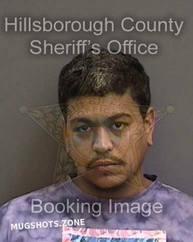 Miranda Roberto 08 21 2022 - Hillsborough County Mugshots Zone