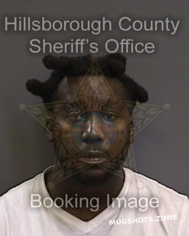 AKINPELU ANDREW 09/30/2022 - Hillsborough County Mugshots Zone