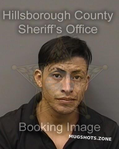 TEBALAN FREDY 10/29/2022 - Hillsborough County Mugshots Zone