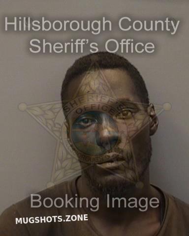 JORDAN MICHAEL 11/18/2022 - Hillsborough County Mugshots Zone