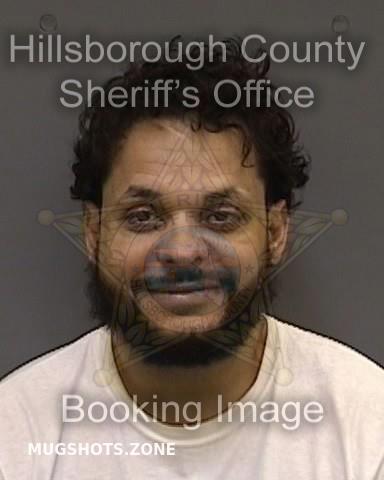 ELIAS ANGEL 11/25/2022 - Hillsborough County Mugshots Zone