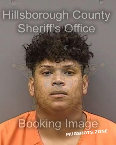 Obando Medrano Gerson 02 17 2023 - Hillsborough County Mugshots Zone