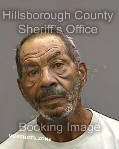 MARTINEZ BLAS 04/11/2023 - Hillsborough County Mugshots Zone