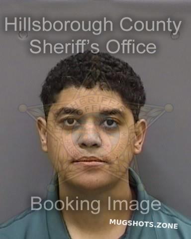 PEREZ MARIO 04/14/2023 - Hillsborough County Mugshots Zone