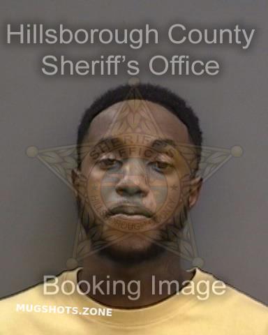 BROWN JAELYN 04/22/2023 - Hillsborough County Mugshots Zone