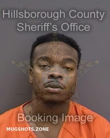 YOUNG RONALD JR 06/17/2023 - Hillsborough County Mugshots Zone