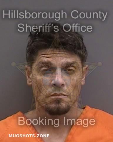 MINER CHEYNE 07/28/2023 - Hillsborough County Mugshots Zone