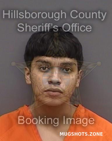 GONZALEZ CARLOS 07/29/2023 - Hillsborough County Mugshots Zone