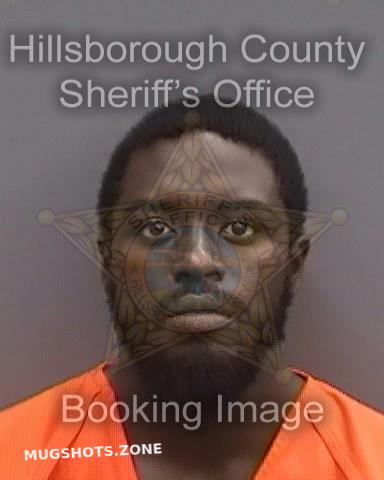 MINOR KESHAWN 08/07/2023 - Hillsborough County Mugshots Zone