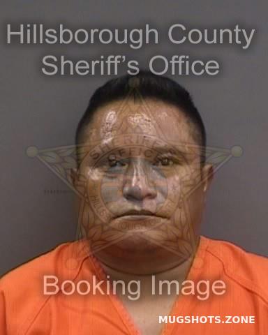 BAROZ GUADALUPE 08/15/2023 - Hillsborough County Mugshots Zone