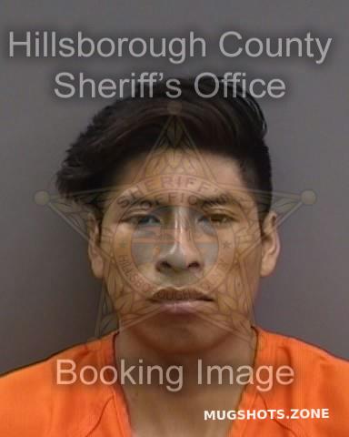 Perez Perez Marcelino 08 26 2023 - Hillsborough County Mugshots Zone