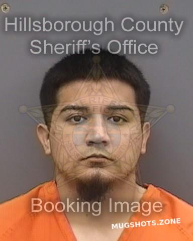 VILLARREAL ETHAN 10/24/2023 - Hillsborough County Mugshots Zone