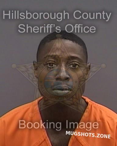 DAVIS NICHOLAS 11/16/2023 - Hillsborough County Mugshots Zone