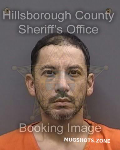 DELAUNAY SHAWN 11/17/2023 - Hillsborough County Mugshots Zone