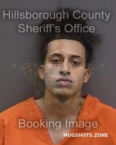 MALAVE RUIZ RAUL 11/29/2023 - Hillsborough County Mugshots Zone