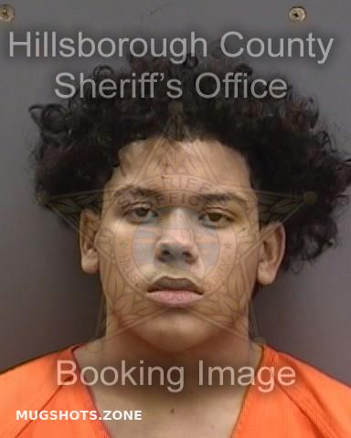 DOMENECH JULIAN 12/13/2023 - Hillsborough County Mugshots Zone