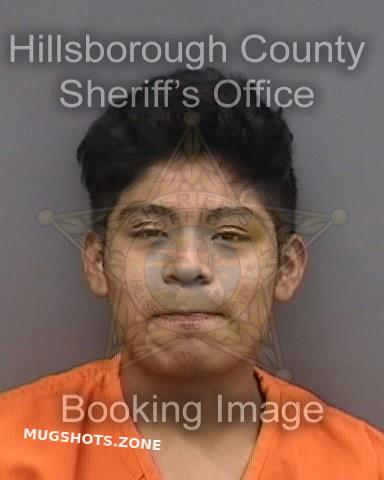 SANCHEZ GUZMAN MARCELINO 01/26/2024 - Hillsborough County Mugshots Zone