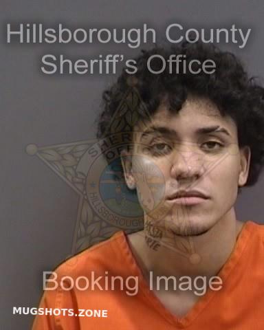 SUERO ROSA MICHAEL 01/28/2024 - Hillsborough County Mugshots Zone