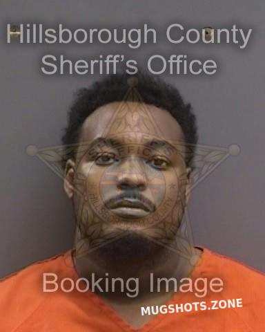 CARR LOUIS V 01/31/2024 - Hillsborough County Mugshots Zone