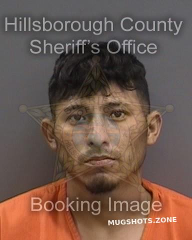 VASQUEZ GUZMAN JOSE 02/03/2024 - Hillsborough County Mugshots Zone