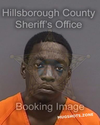 ELLIS DWIGHT MARTIN 02/10/2024 - Hillsborough County Mugshots Zone