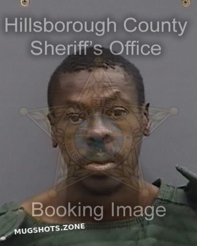 BROWN DARIUS 03/11/2024 - Hillsborough County Mugshots Zone