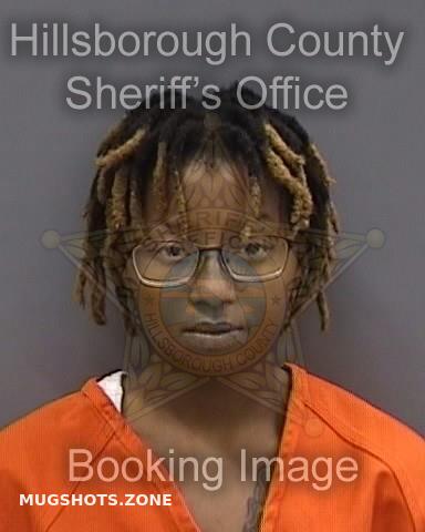 GOODWIN ALLISON 08/09/2024 - Hillsborough County Mugshots Zone