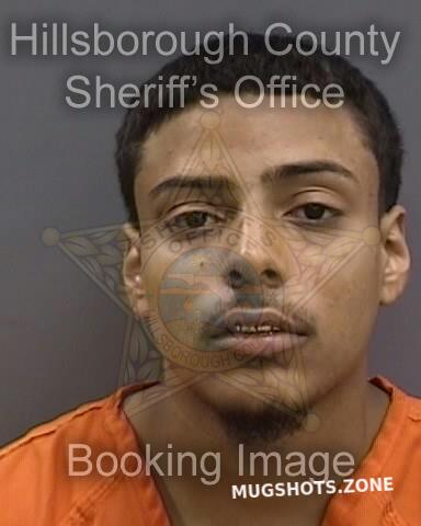CANTILLO GIAN 08/24/2024 - Hillsborough County Mugshots Zone