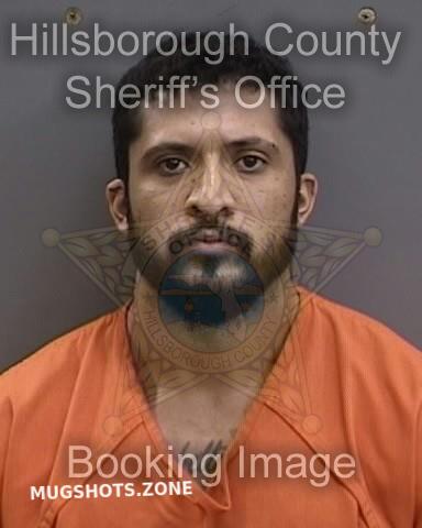 DELAO SAMUEL 10/11/2024 - Hillsborough County Mugshots Zone
