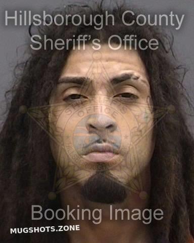 CARTAGENA JOSEPH 11/20/2024 - Hillsborough County Mugshots Zone
