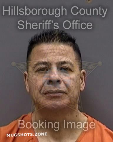 GUERRA BORRERO JOSE 01/09/2025 - Hillsborough County Mugshots Zone