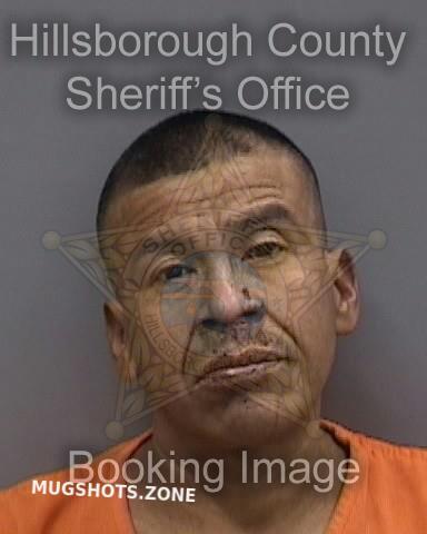 RAMOS ROSALIN 01/11/2025 - Hillsborough County Mugshots Zone